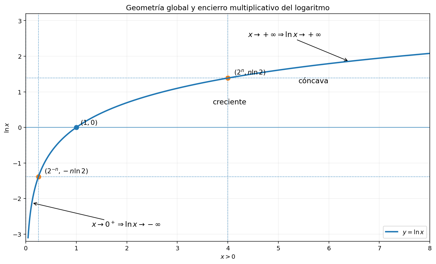 La gráfica del logaritmo crece, es cóncava y recorre todos los valores reales.